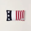 CozyChic® Team USA Stars And Stripes Pillow